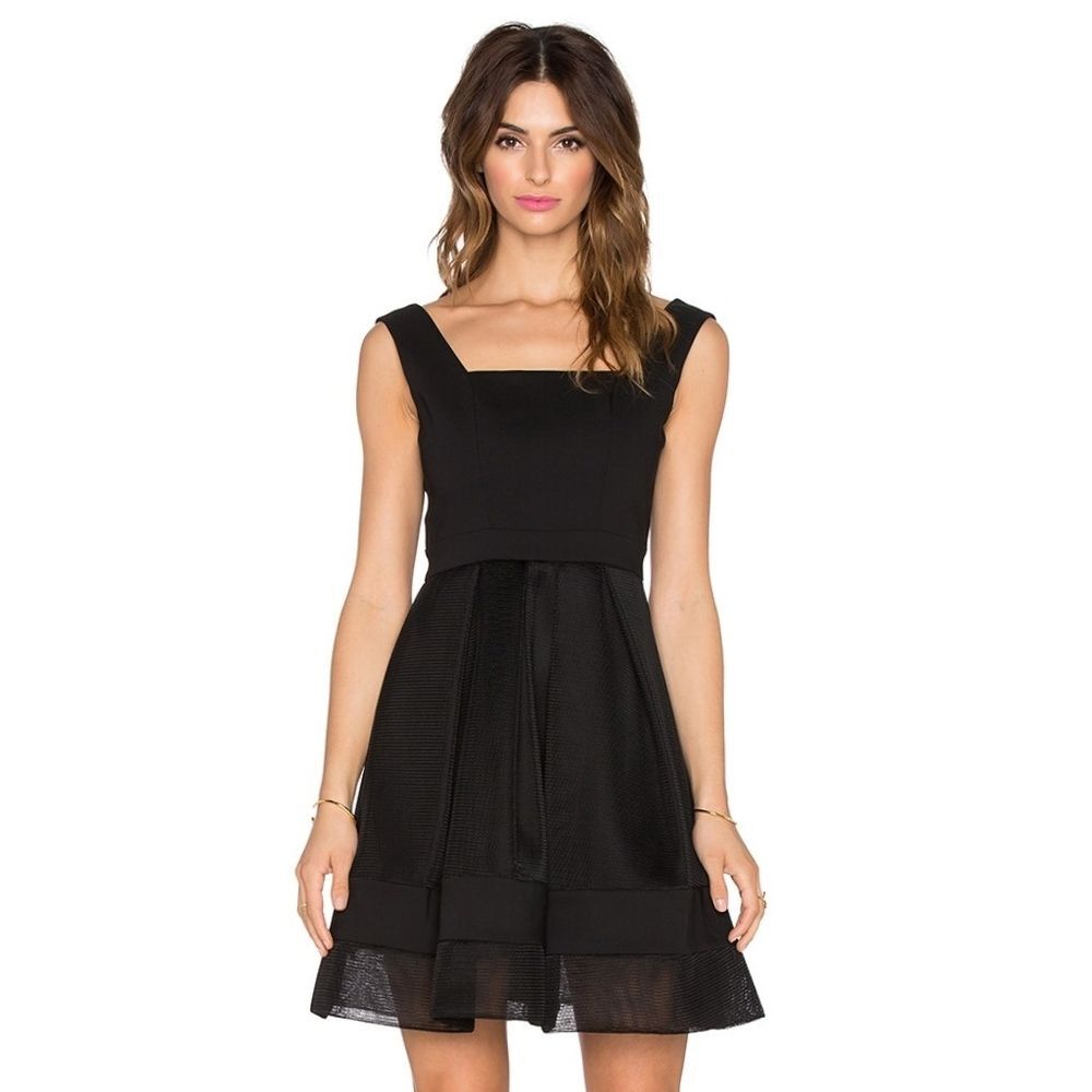 NWT Alexis Rafaelo Netted Short Dress